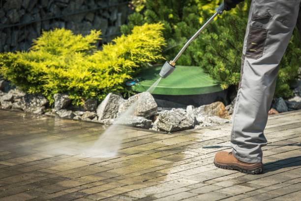 Animal Enclosure Cleaning in Fairfield, CA